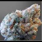 Whitewidow / Oz