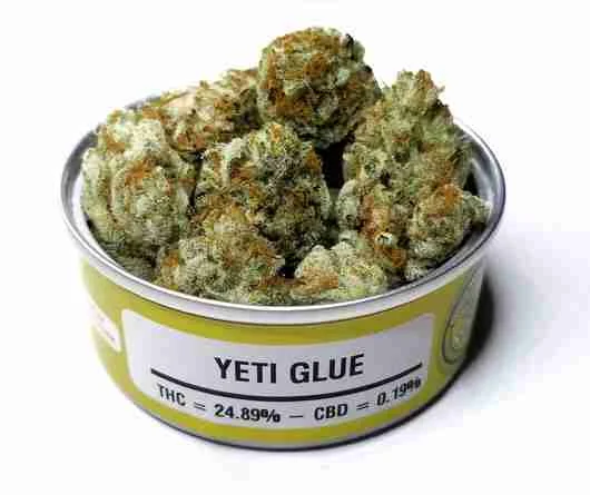 Buy Space Monkey Meds Strains Space Monkey Meds Strains