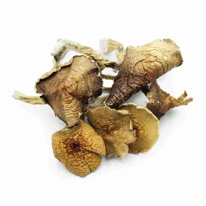 Buy ALBINO A+ Magic Mushrooms ALBINO A+ Magic Mushrooms