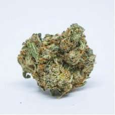 Buy Critical Alien OG / Oz Critical Alien OG / Oz
