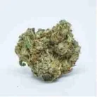 Buy Critical Alien OG / Oz