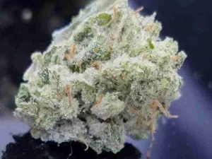 Buy Buy Critical Alien OG / Oz Buy Critical Alien OG / Oz
