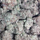 Alien Purple OG / Oz