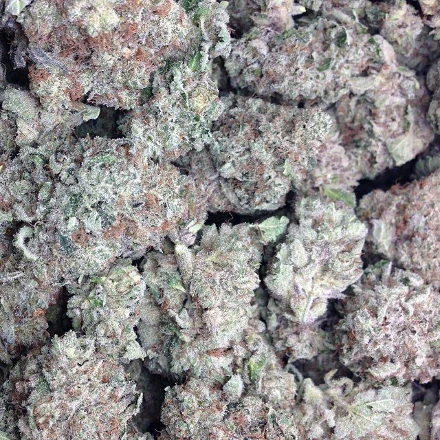 Buy Alien Purple OG / Oz Alien Purple OG / Oz