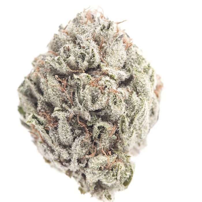 Buy Critical Alien OG / Oz Critical Alien OG / Oz