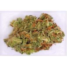 Ghost Train Haze #1 / Oz