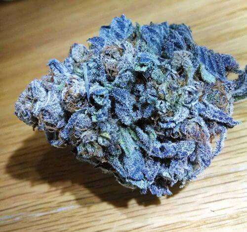 Buy Blue Dream / Oz Blue Dream / Oz