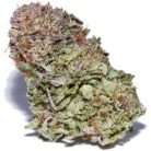 Bubba Kush / Oz