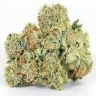 Cinderella 99 / Oz