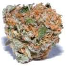 Cinderella 99 / Oz