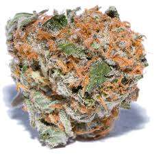 Buy Cinderella 99 / Oz Cinderella 99 / Oz