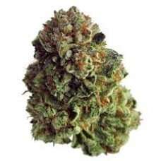 Chemdawg / Oz