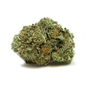 Death Star Strain