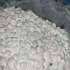 Dilaudid Hydromorphone 8mg Medication Dosage