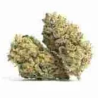 Buy Afgoo / Oz