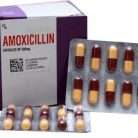 Buy Amoxicillin Tablets | Broad-Spectrum Antibiotic Supplier