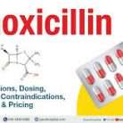 Buy Amoxicillin Tablets | Broad-Spectrum Antibiotic Supplier