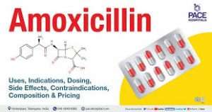 Buy Amoxicillin Tablets | Broad-Spectrum Antibiotic Supplier