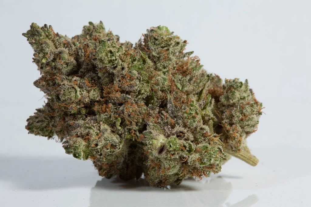 El Jefe Strain