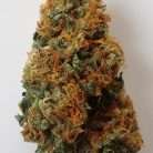 Fire OG / Oz