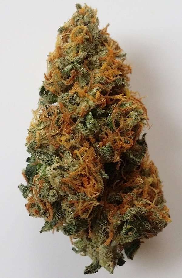 Buy Fire OG / Oz Fire OG / Oz