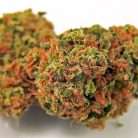 Fire OG / Oz