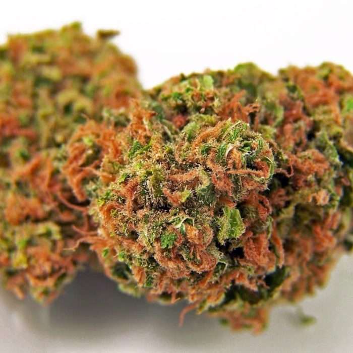 Buy Fire OG / Oz Fire OG / Oz
