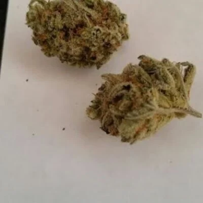 Buy G4 Strain G4 Strain