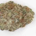 Buy Gelato 45 / Oz online