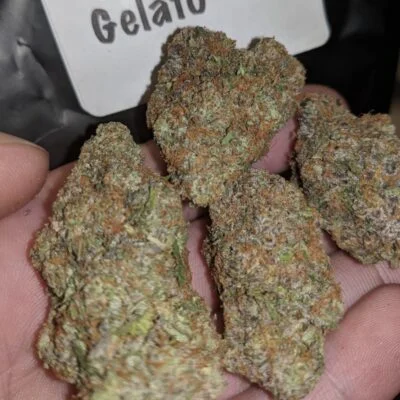 Buy Garlic Cookies Strain Garlic Cookies Strain