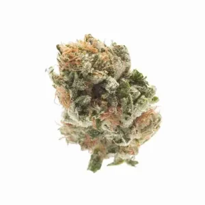 Godfather OG Strain
