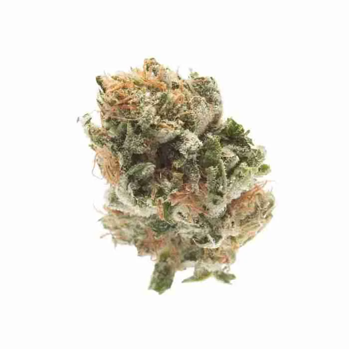 Buy Godfather OG Strain Godfather OG Strain