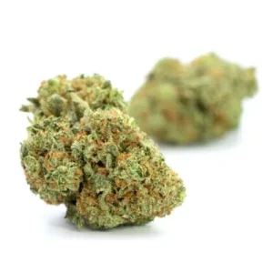 Gorilla Glue Strain