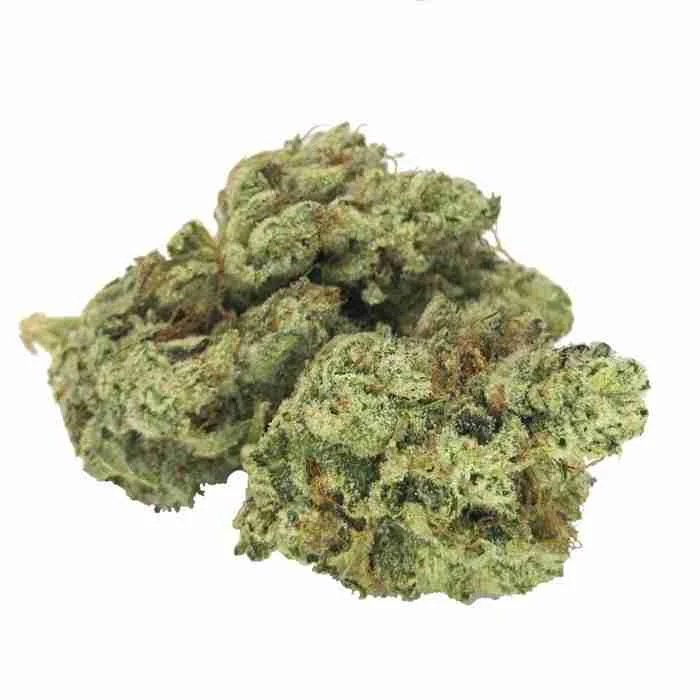Buy Gorilla Glue Gorilla Glue