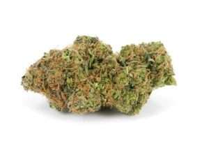Hawaiian Haze / Oz