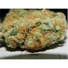 Hawaiian Haze / Oz