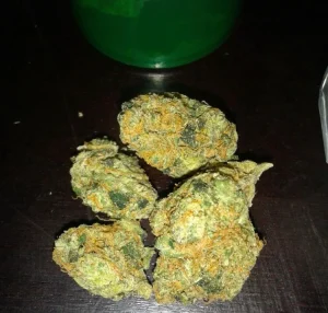 G-13 Haze Kush