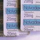 Buy tamoxifen nolvadex buy right now 5% off