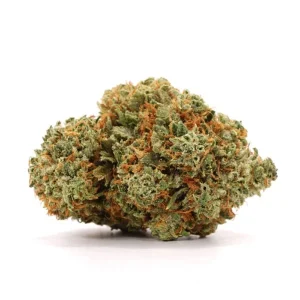 Jet Fuel
