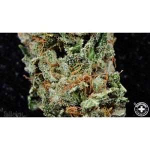 Lamb’s Bread / Oz