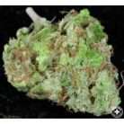 Lamb’s Bread / Oz