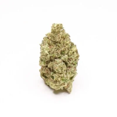 Buy lemonade strain lemonade strain