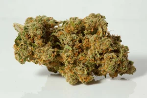 Moby Dick Cannabis Flower