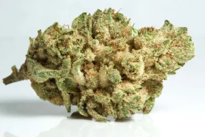 Gorilla Glue 4 Strain (GG4)