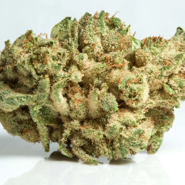 Gorilla Glue 4 Strain (GG4)