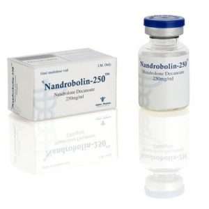 NandroBolin-10ml – Nandrolone Decanoate