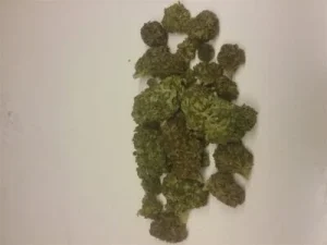 OG Skunk Strain