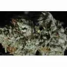 Buy OG Kush / Oz
