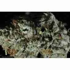 Buy Buy OG Kush / Oz Buy OG Kush / Oz