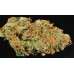 Buy Orange Kush Orange Kush